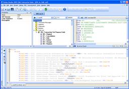 EDI to XML Editor (Click to enlarge)