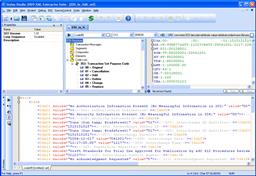 EDI to XML Editor (Click to enlarge)